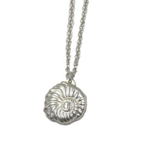 Amaranta Collar Plateado